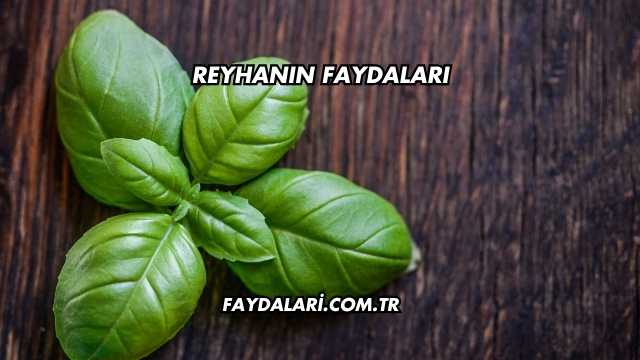 Reyhanın Faydaları