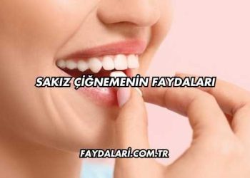 Sakız Çiğnemenin Faydaları