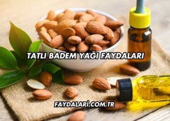 Tatlı Badem Yağı Faydaları