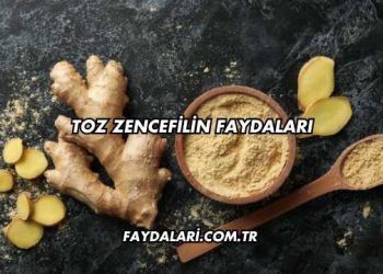 Toz Zencefilin Faydaları
