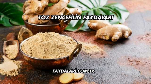 Toz Zencefilin Faydaları