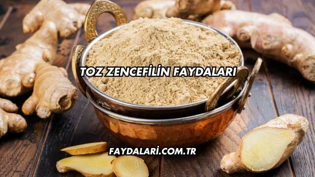 Toz Zencefilin Faydaları