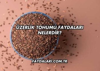 Üzerlik Tohumu Faydaları Nelerdir?