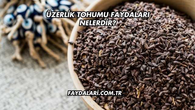 Üzerlik Tohumu Faydaları Nelerdir?