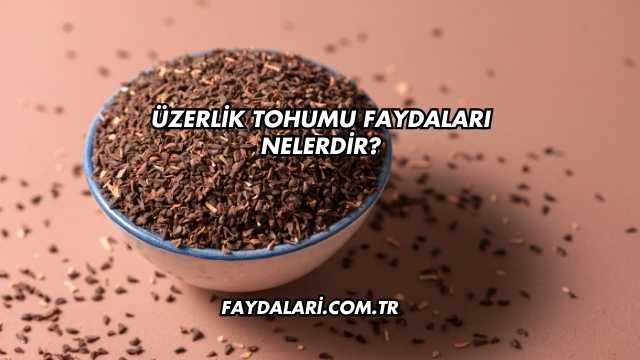 Üzerlik Tohumu Faydaları Nelerdir?