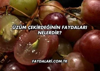 Üzüm Çekirdeğinin Faydaları Nelerdir?