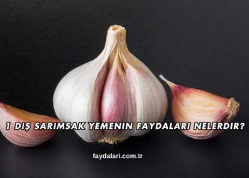 1 Diş Sarımsak Yemenin Faydaları Nelerdir?