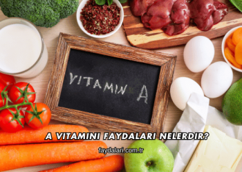 A Vitamini Faydaları Nelerdir?