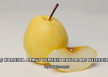 Aç Karnına Armut Yemenin Faydaları Nelerdir?