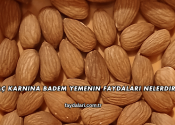 Aç Karnına Badem Yemenin Faydaları Nelerdir?