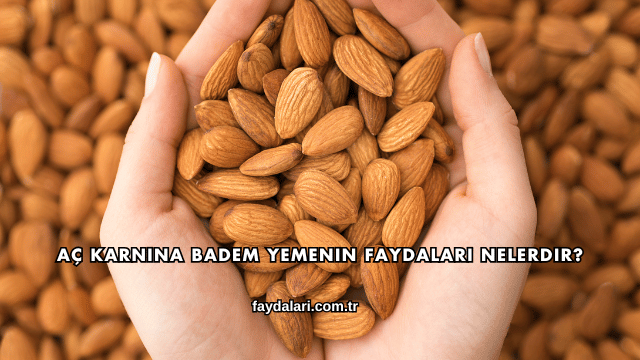 Aç Karnına Badem Yemenin Faydaları Nelerdir?