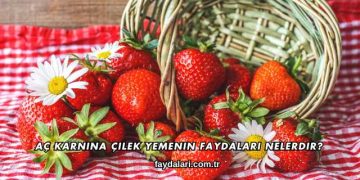 Aç Karnına Çilek Yemenin Faydaları Nelerdir?