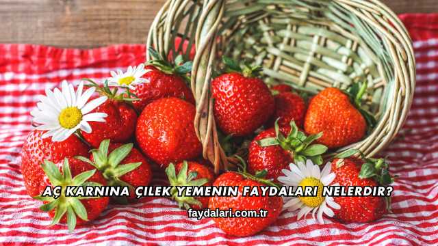 Aç Karnına Çilek Yemenin Faydaları Nelerdir?
