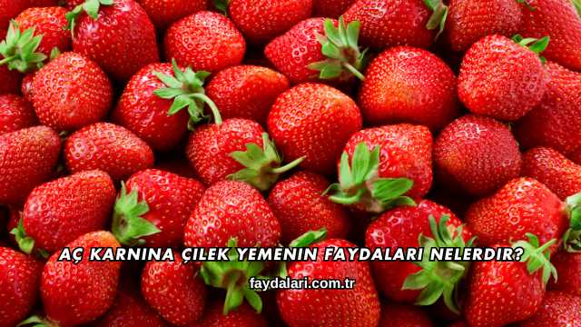 Aç Karnına Çilek Yemenin Faydaları Nelerdir?