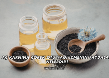 Aç Karnına Çörek Otu Yağı İçmenin Faydaları Nelerdir?