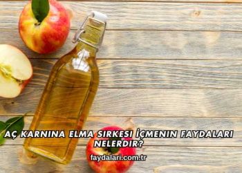 Aç Karnına Elma Sirkesi İçmenin Faydaları Nelerdir?