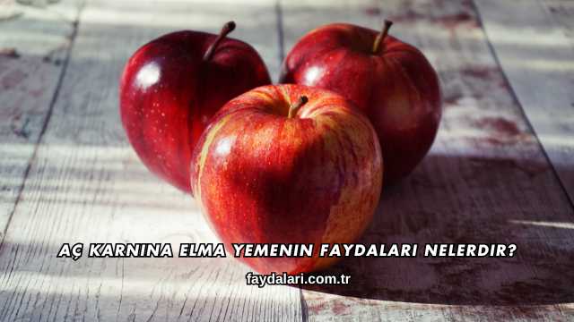 Aç Karnına Elma Yemenin Faydaları Nelerdir?