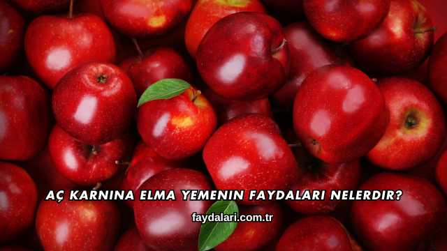 Aç Karnına Elma Yemenin Faydaları Nelerdir?