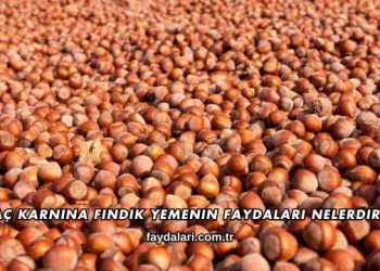 Aç Karnına Fındık Yemenin Faydaları Nelerdir?