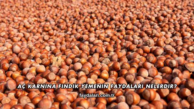 Aç Karnına Fındık Yemenin Faydaları Nelerdir?
