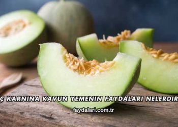 Aç Karnına Kavun Yemenin Faydaları Nelerdir?