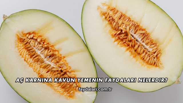 Aç Karnına Kavun Yemenin Faydaları Nelerdir?