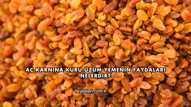 Aç Karnına Kuru Üzüm Yemenin Faydaları Nelerdir?