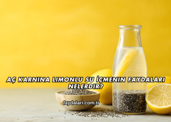 Aç Karnına Limonlu Su İçmenin Faydaları Nelerdir?