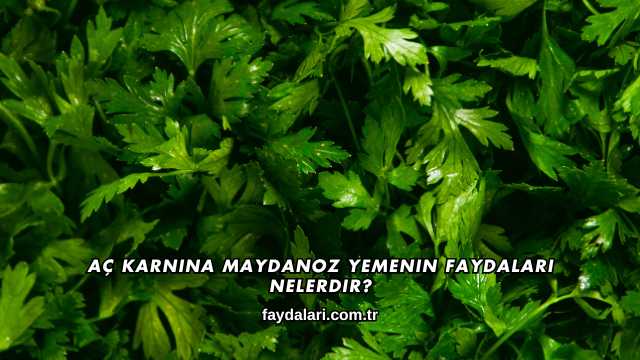 Aç Karnına Maydanoz Yemenin Faydaları Nelerdir?