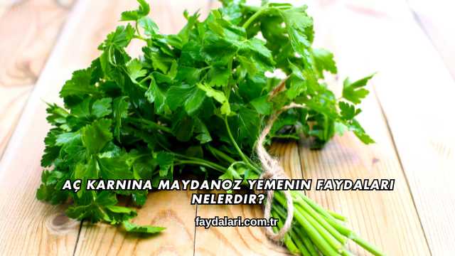 Aç Karnına Maydanoz Yemenin Faydaları Nelerdir?