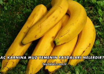 Aç Karnına Muz Yemenin Faydaları Nelerdir?