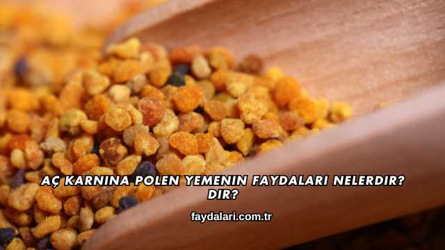 Aç Karnına Polen Yemenin Faydaları Nelerdir?