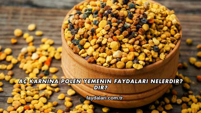 Aç Karnına Polen Yemenin Faydaları Nelerdir?