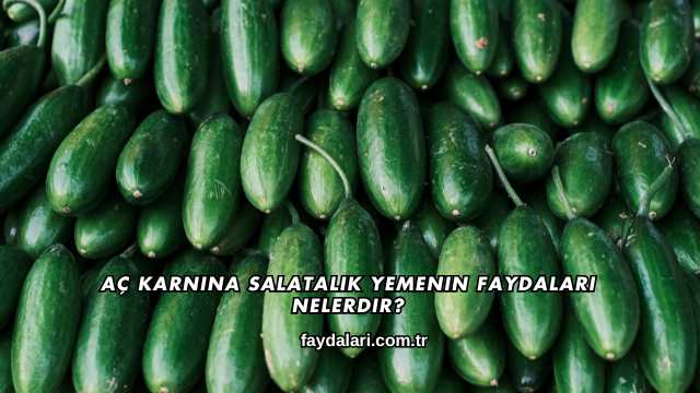 Aç Karnına Salatalık Yemenin Faydaları Nelerdir?