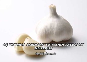 Aç Karnına Sarımsak Yutmanın Faydaları Nelerdir?