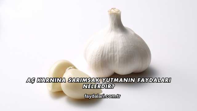 Aç Karnına Sarımsak Yutmanın Faydaları Nelerdir?
