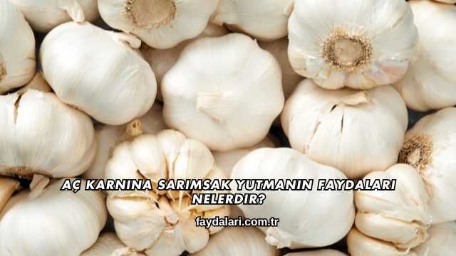 Aç Karnına Sarımsak Yutmanın Faydaları Nelerdir?