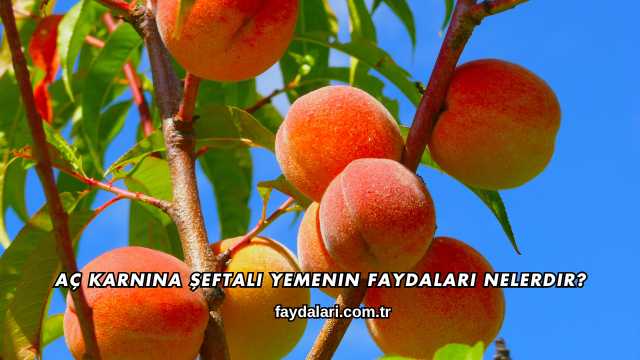 Aç Karnına Şeftali Yemenin Faydaları Nelerdir?