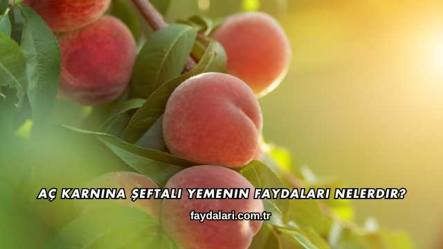 Aç Karnına Şeftali Yemenin Faydaları Nelerdir?