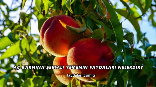 Aç Karnına Şeftali Yemenin Faydaları Nelerdir?