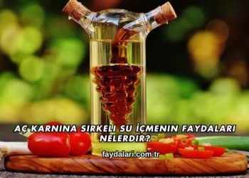 Aç Karnına Sirkeli Su İçmenin Faydaları Nelerdir?