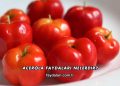 Acerola Faydaları Nelerdir?