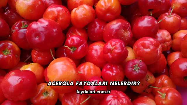 Acerola Faydaları Nelerdir?