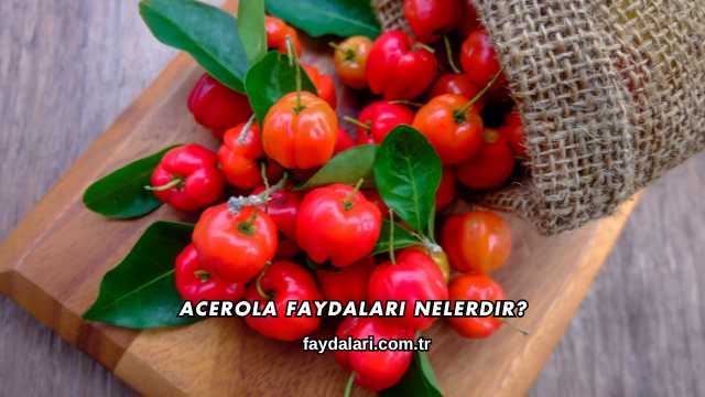 Acerola Faydaları Nelerdir?