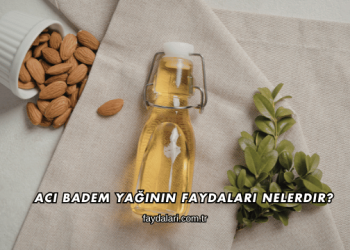 Acı Badem Yağının Faydaları Nelerdir?