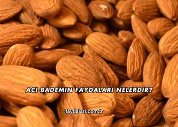 Acı Bademin Faydaları Nelerdir?