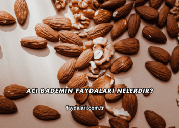 Acı Bademin Faydaları Nelerdir?