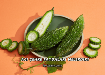 Acı Çehre Faydaları Nelerdir?