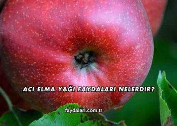 Acı Elma Yağı Faydaları Nelerdir?