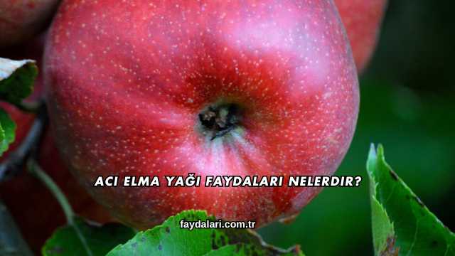 Acı Elma Yağı Faydaları Nelerdir?